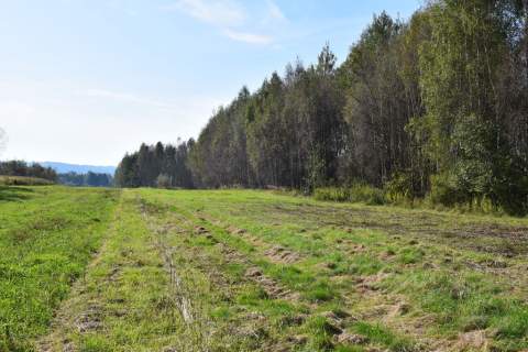 Działki budowlane 8a i 9.5a- Bratkowice