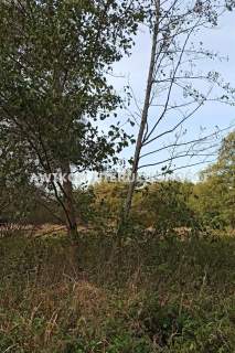 Działka budowlana na sprzedaż, 959 m2, Budy-Grzybek