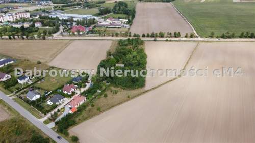 Działka siedliskowa z domem 1,1 HA WIDOWO
