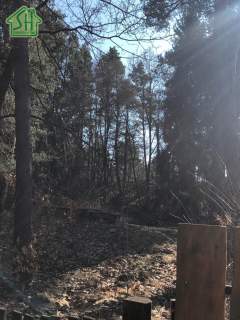 Działka budowlana na sprzedaż, 12000 m2, Radawa