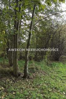 Działka budowlana na sprzedaż, 959 m2, Budy-Grzybek