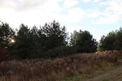 Działka o pow. 1700 m2 na sprzedaż