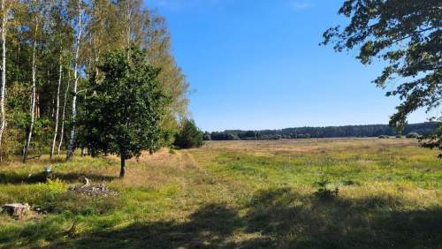 Działka z linią brzegową rzeki, lasem i stawem.