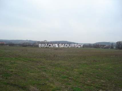 Działka inwestycyjna na sprzedaż, 10000 m2, Morawica