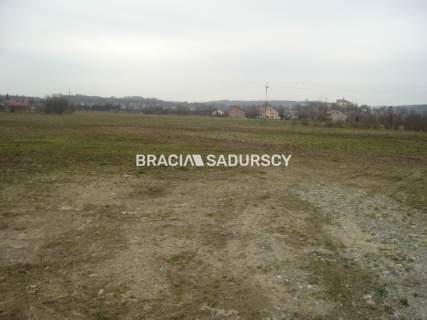 Działka inwestycyjna na sprzedaż, 10000 m2, Morawica