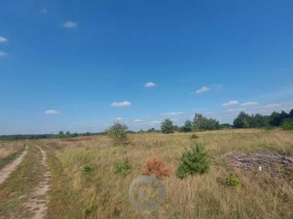 Działki - os. Poznańskie - ul. Migdałowa