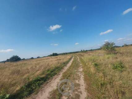 Działki - os. Poznańskie - ul. Migdałowa