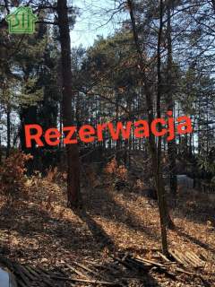 Działka budowlana na sprzedaż, 12000 m2, Radawa