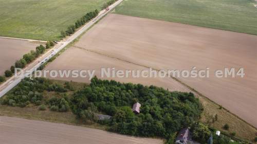 Działka siedliskowa z domem 1,1 HA WIDOWO
