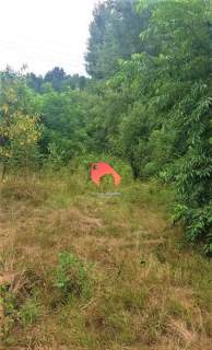 Działka 3050m2, budow. jednorodzinne i segmentowe