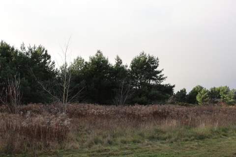 Działka o pow. 1700 m2 na sprzedaż
