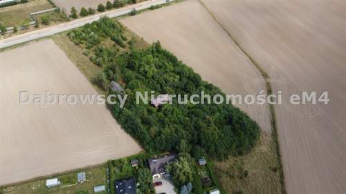Działka siedliskowa z domem 1,1 HA WIDOWO