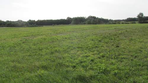 Działka duża rolna w Czercach gmina Sieniawa