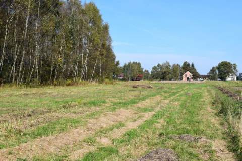 Działki budowlane 8a i 9.5a- Bratkowice