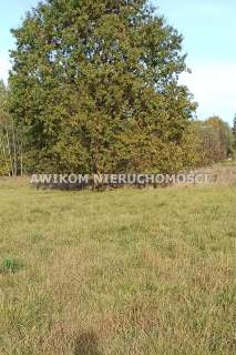 Działka budowlana na sprzedaż, 963 m2, Budy-Grzybek