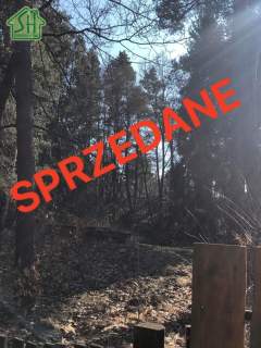 Działka budowlana na sprzedaż, 12000 m2, Radawa