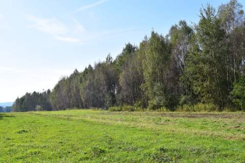 Działki budowlane 8a i 9.5a- Bratkowice