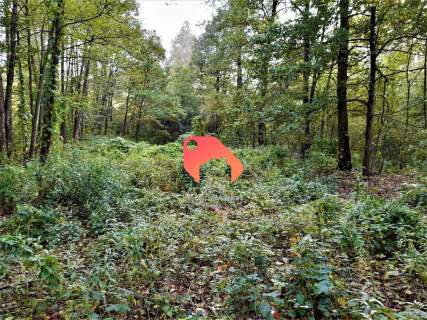 Działka 3050m2, budow. jednorodzinne i segmentowe