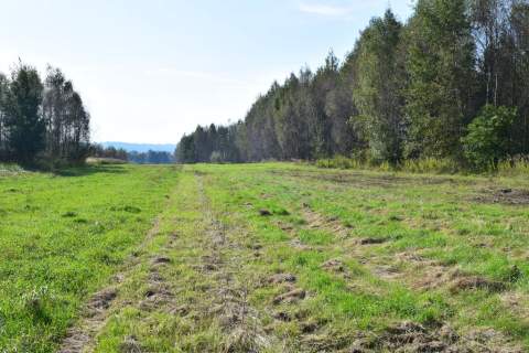 Działki budowlane 8a i 9.5a- Bratkowice