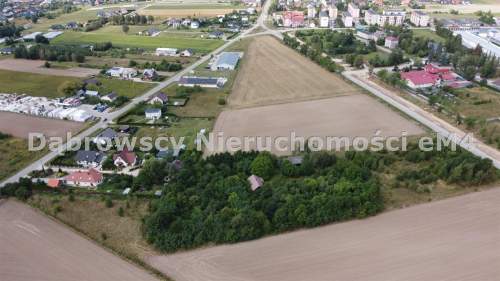 Działka siedliskowa z domem 1,1 HA WIDOWO
