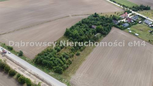 Działka siedliskowa z domem 1,1 HA WIDOWO