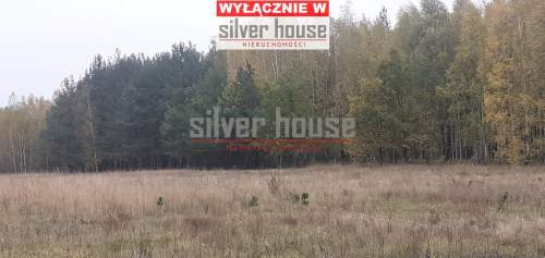 Działki z prawem zabudowy w okolicy Piszu.