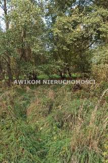 Działka budowlana na sprzedaż, 959 m2, Budy-Grzybek