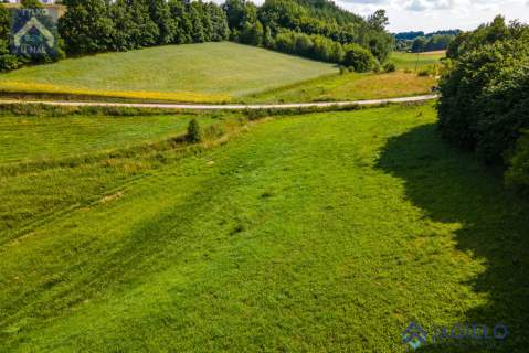 Działka siedliskowa na sprzedaż, 15600 m2, Chmielno