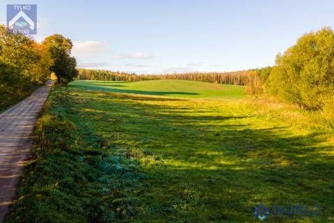 Działka rolna na sprzedaż, 4200 m2, Szczodrowo