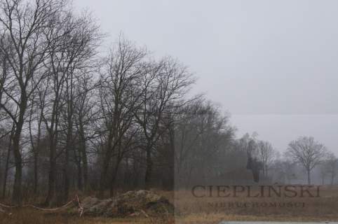 Działka budowlana na sprzedaż, 1000 m2, Rzędziny