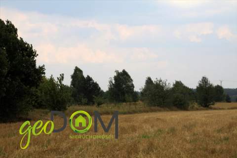 Przy drodze powiatowej 1852L.