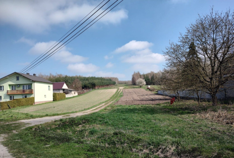 Duża działka 1,47 ha, Szyszczyce, gmina Chmielnik