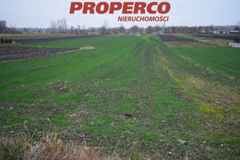 Działka 6800m2, Michałów, pińczowski