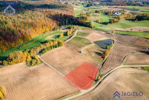 Działka siedliskowa na sprzedaż, 3000 m2, Borzestowo