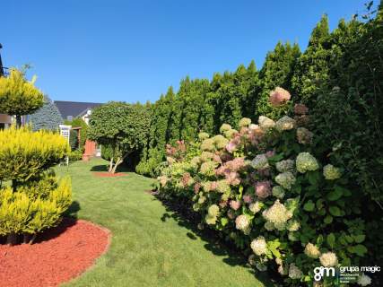 Ciechoinek - ekonomiczny dom z pięknym ogrodem