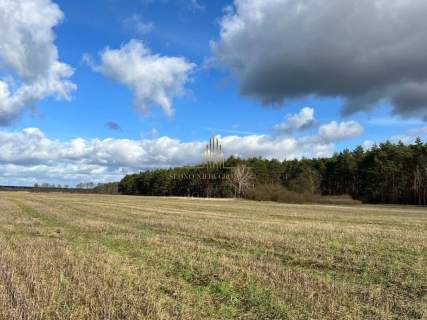 Działka rolna na sprzedaż, 130000 m2, Brzoza