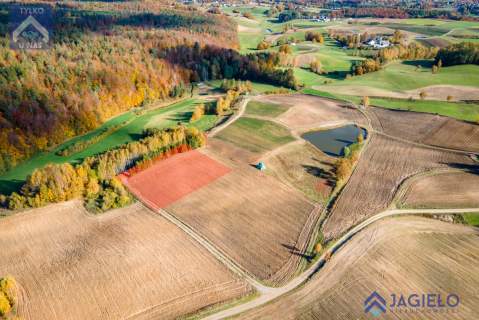 Działka siedliskowa na sprzedaż, 3000 m2, Borzestowo
