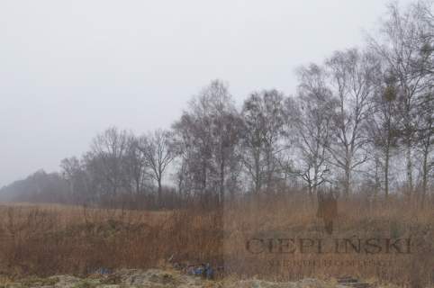 Działka budowlana na sprzedaż, 1000 m2, Rzędziny