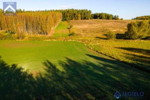 Działka rolna na sprzedaż, 4200 m2, Szczodrowo
