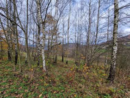 Działka budowlana na sprzedaż, 2900 m2, Stryszawa