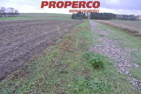 Działka 774 m2, Borki, Jędrzejów
