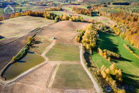 Działka siedliskowa na sprzedaż, 3000 m2, Borzestowo