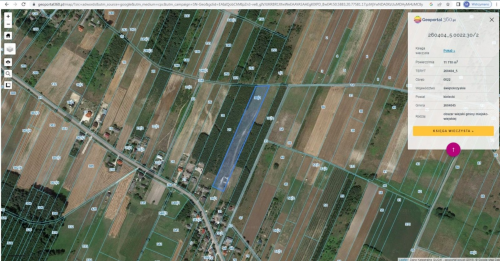 Duża działka 1,47 ha, Szyszczyce, gmina Chmielnik