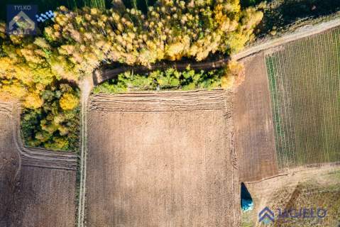 Działka siedliskowa na sprzedaż, 3000 m2, Borzestowo