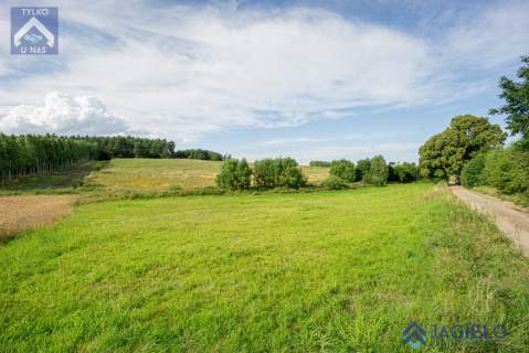 Działka rolna na sprzedaż, 4200 m2, Szczodrowo