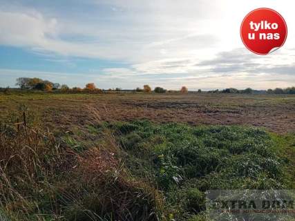 Działka budowlana na sprzedaż, 1102 m2, Lubczyna