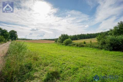 Działka rolna na sprzedaż, 4200 m2, Szczodrowo