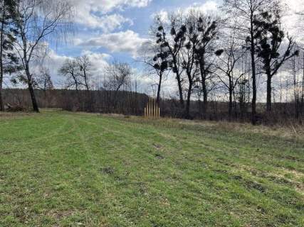 Działka na sprzedaż, 15500 m2, Brzoza