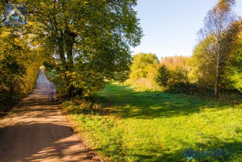 Działka rolna na sprzedaż, 4200 m2, Szczodrowo