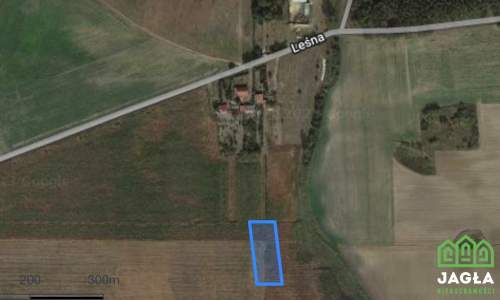 Działka z warunkami zabudowy, wodą i prądem 3000m2
